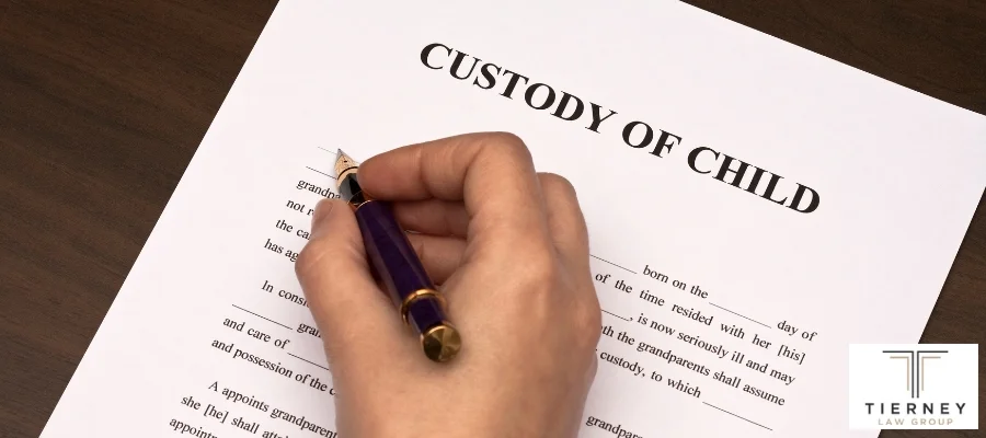 Best Livermore Child Custody Lawyer Best Livermore Child Custody Lawyer