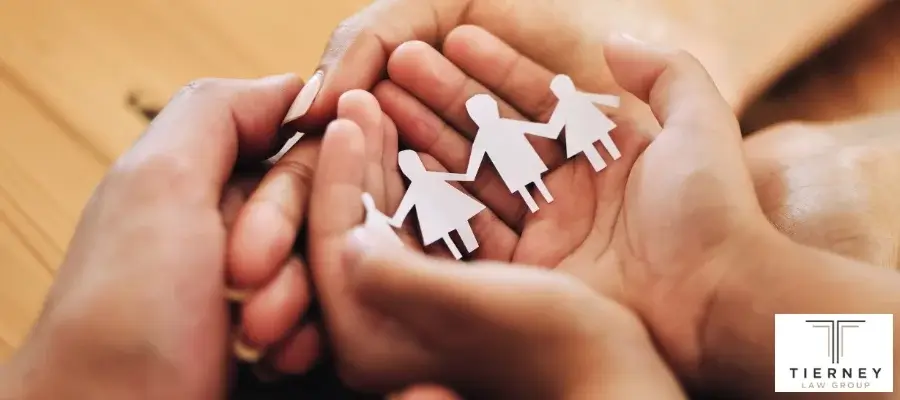 Skilled Alamo Child Support Lawyer